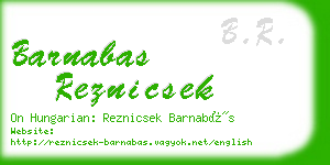 barnabas reznicsek business card